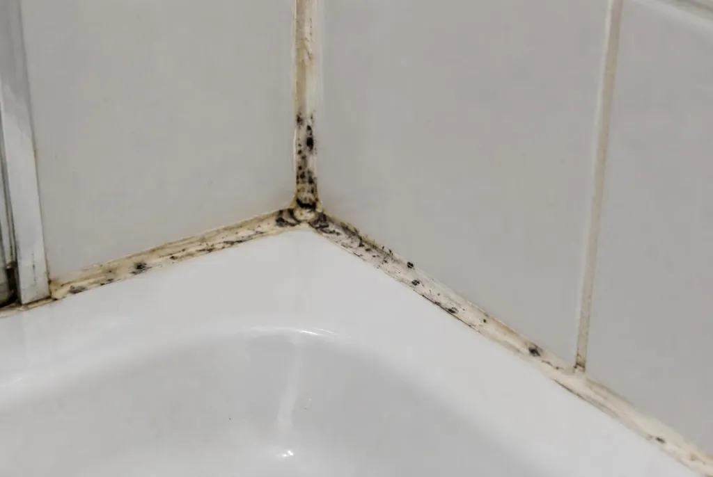 Kitbedrijf Deventer – beschimmelde kitranden